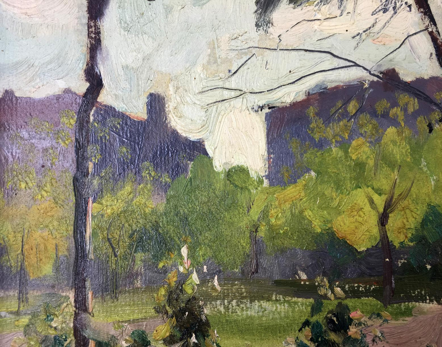 Oil painting City Park Evgeny Nikolaevich Tkachenko