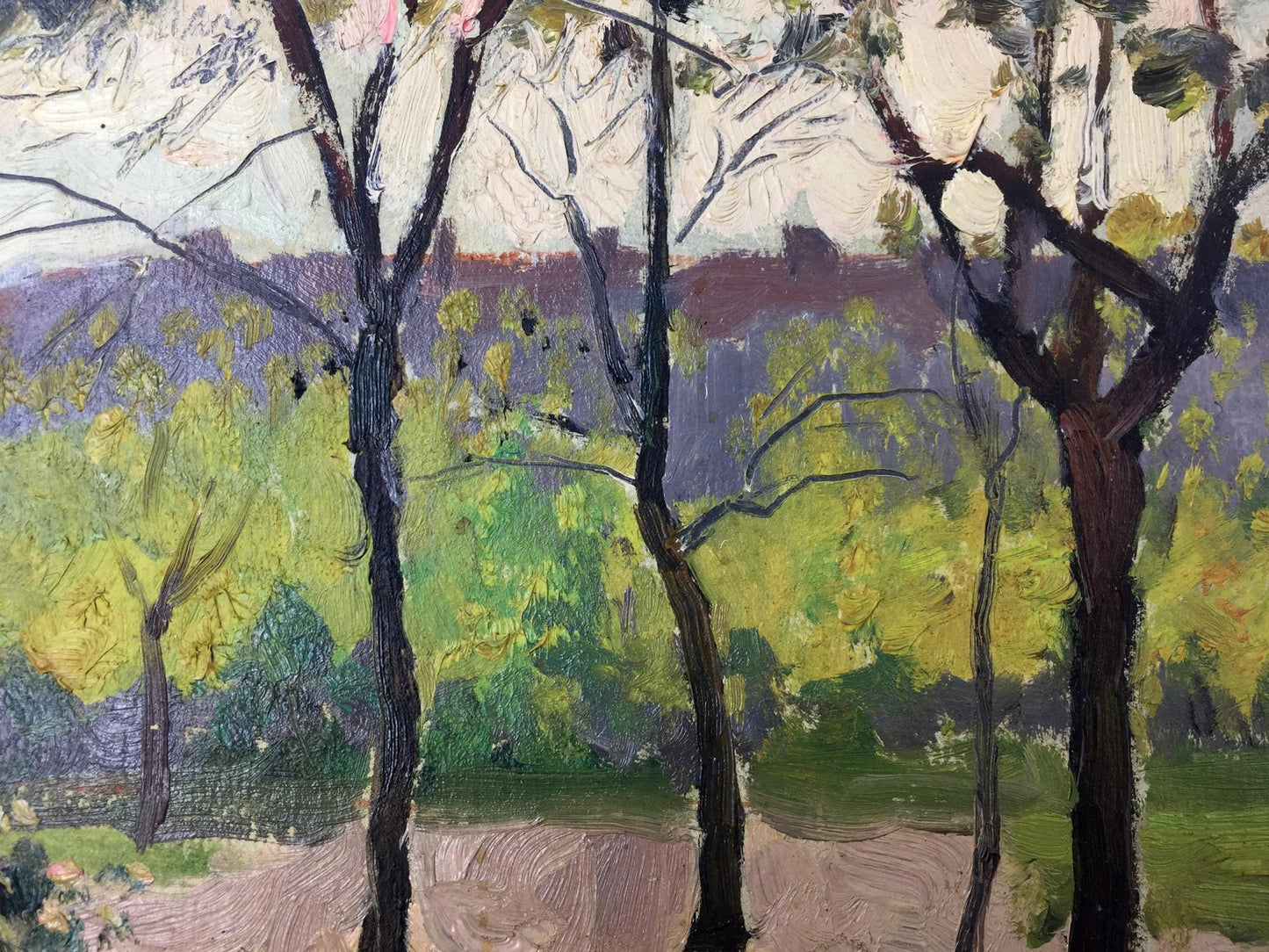 Oil painting City Park Evgeny Nikolaevich Tkachenko