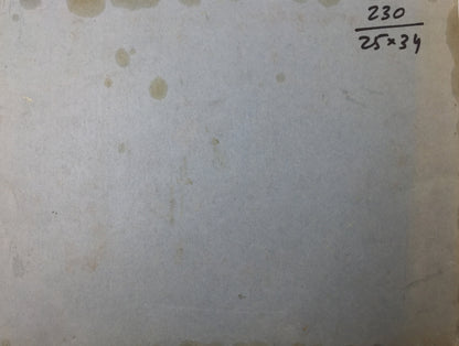 Oil painting City Park Evgeny Nikolaevich Tkachenko