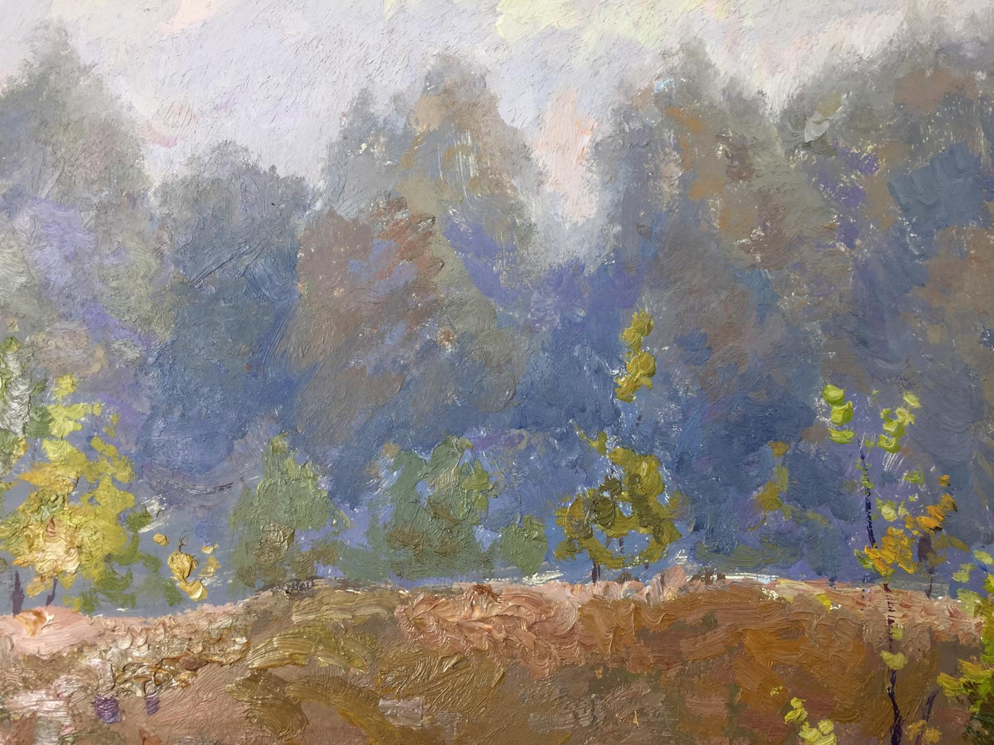 Oil painting Misty morning Alexander Fedorovich Mynka