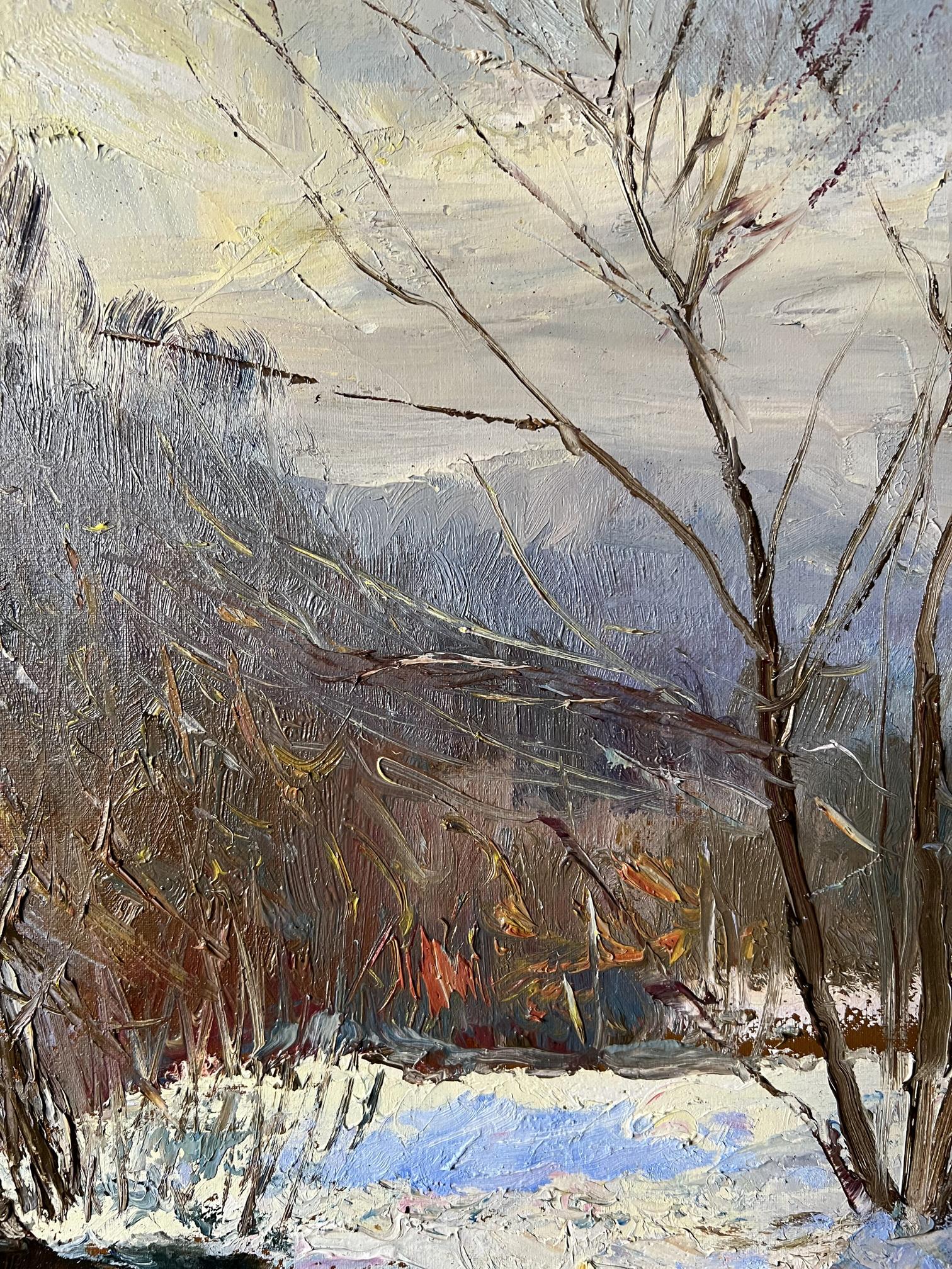 Winter Forest landscape