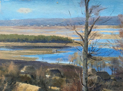 Oil painting Overlooking the village Tsyupka Ivan Kirillovich