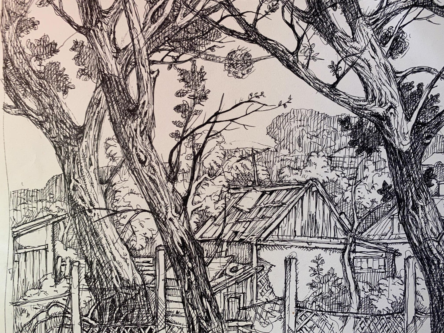 Ink painting Agricultural abundance in the village Oleg Litvinov