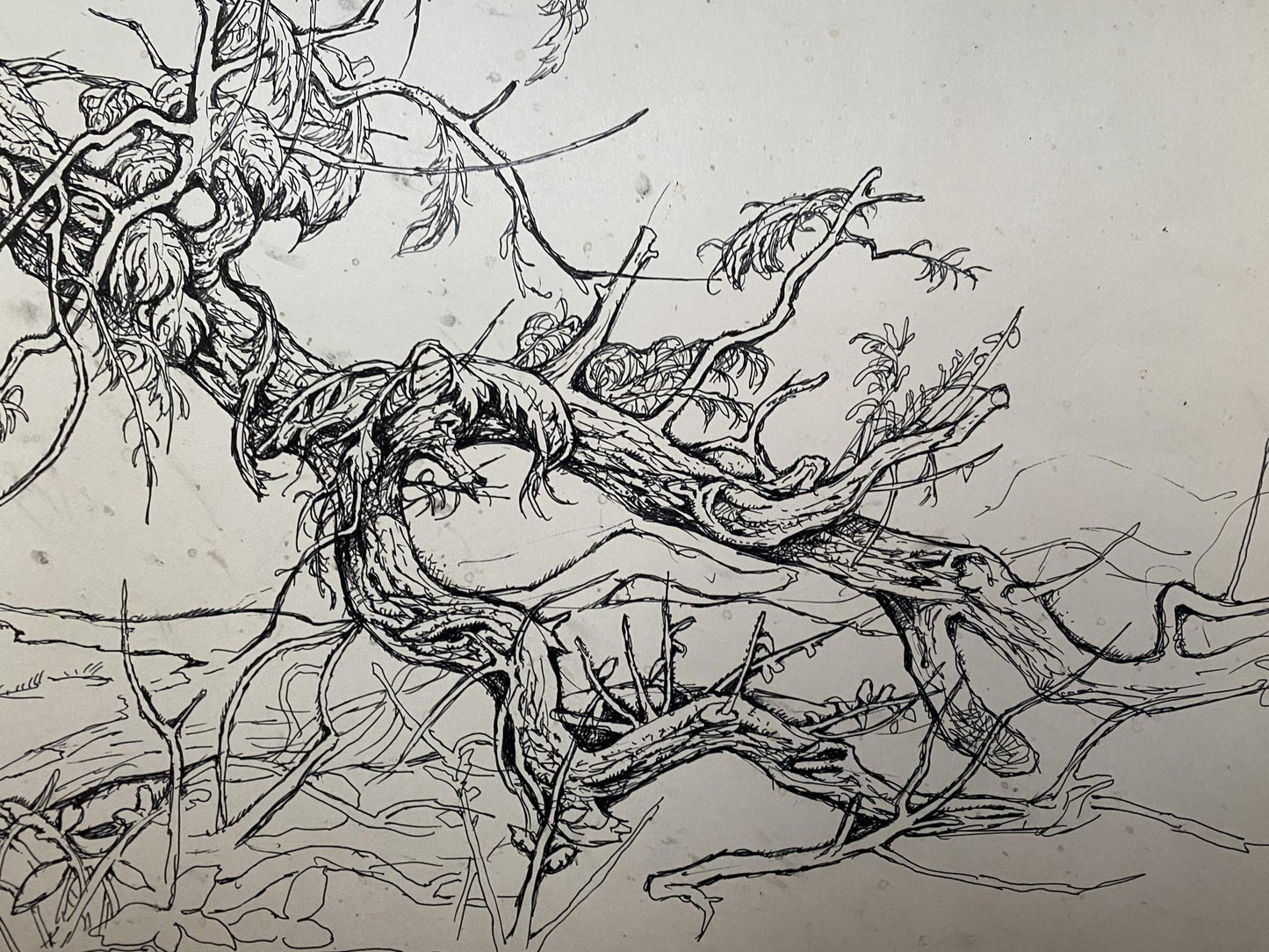 Ink, painting Broken tree Litvinov Oleg Arkad'yevich