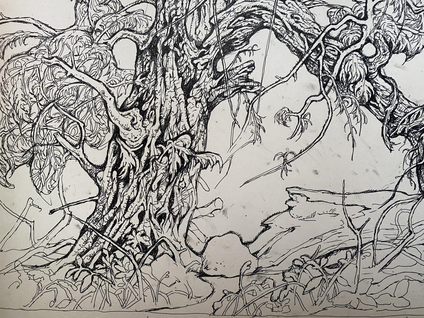 Ink, painting Broken tree Litvinov Oleg Arkad'yevich