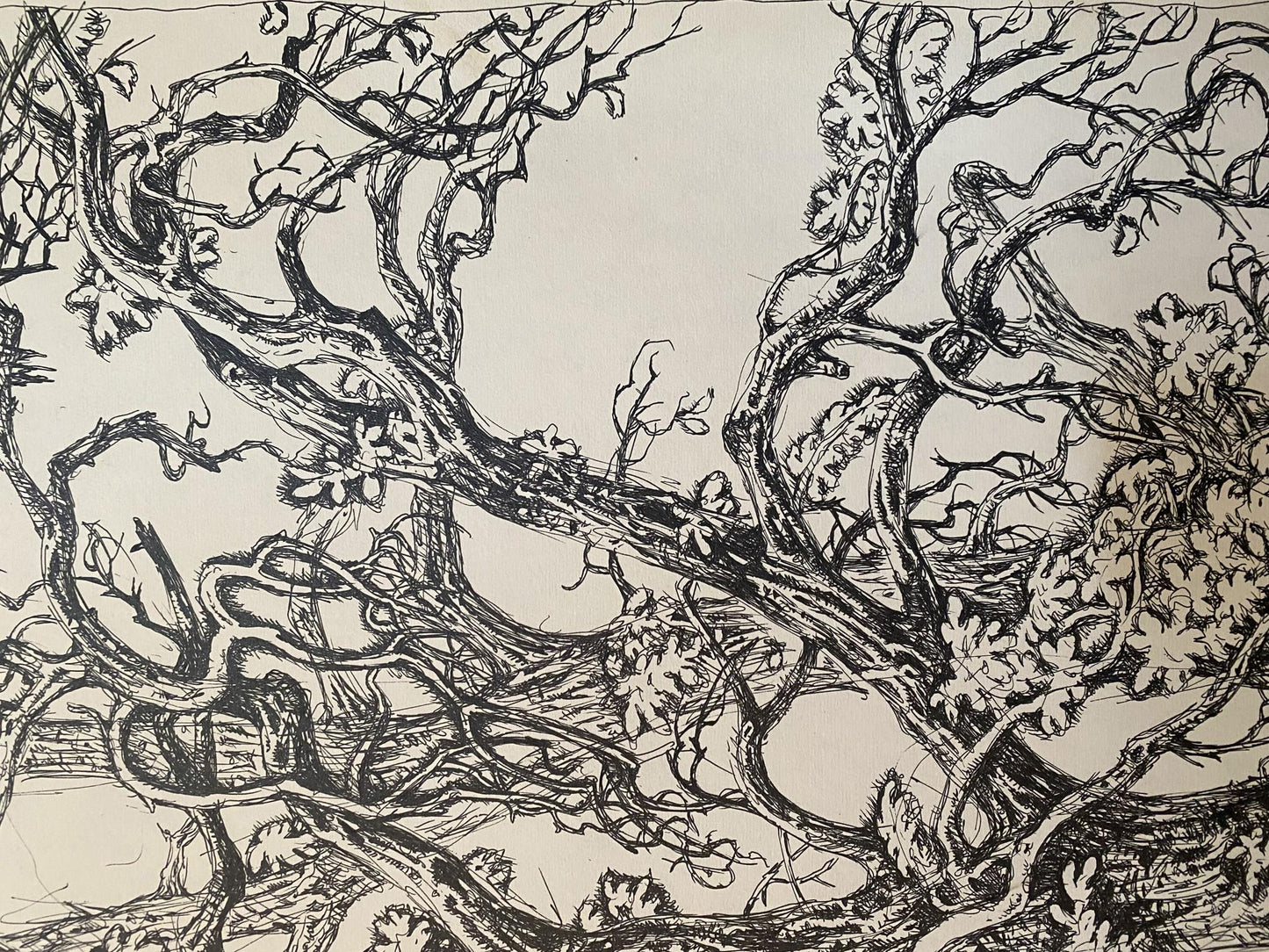 Ink, painting Last leaves Litvinov Oleg Arkad'yevich