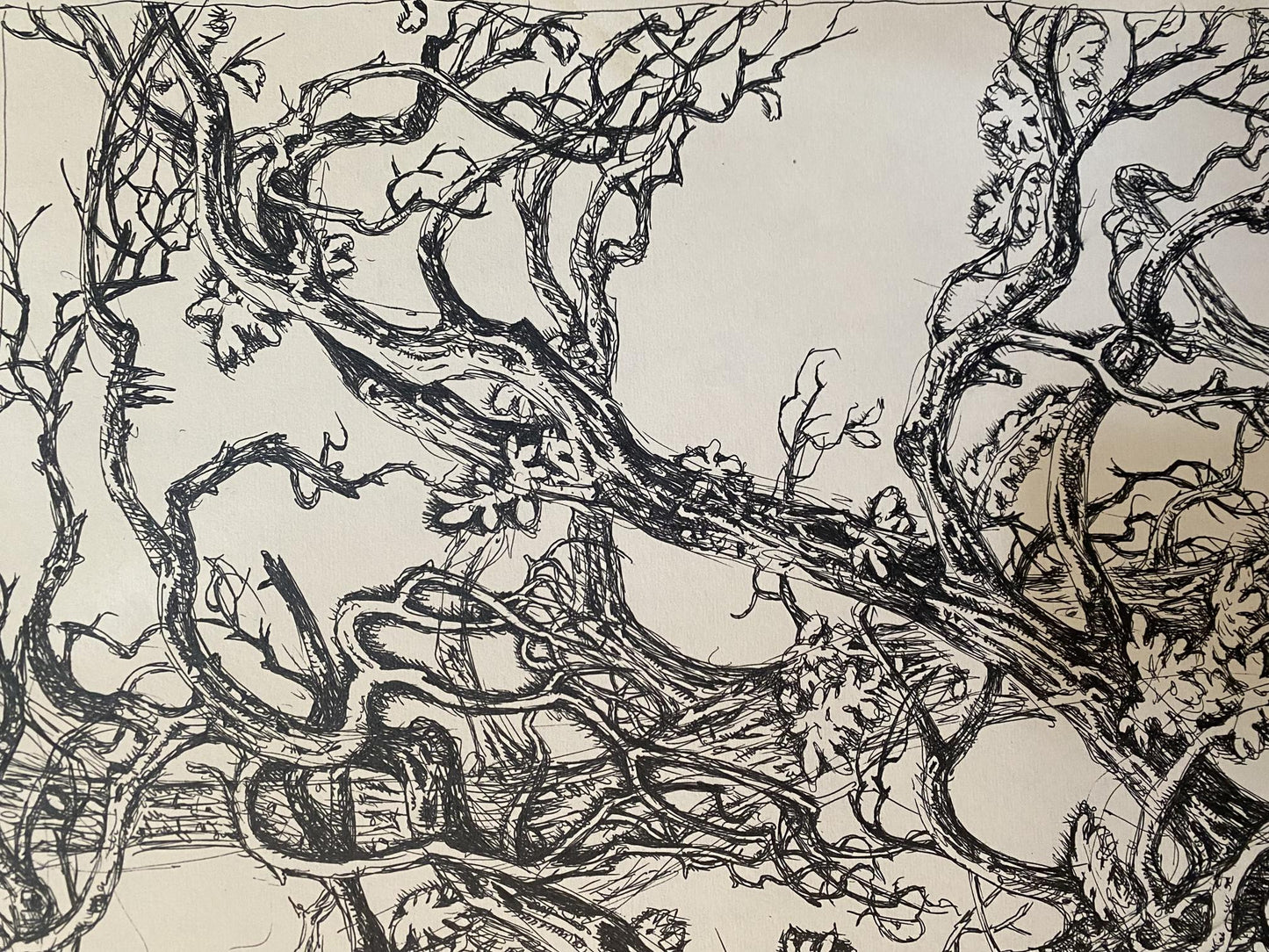 Ink, painting Last leaves Litvinov Oleg Arkad'yevich