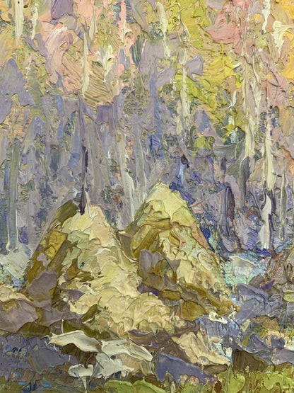 Nature Landscape 