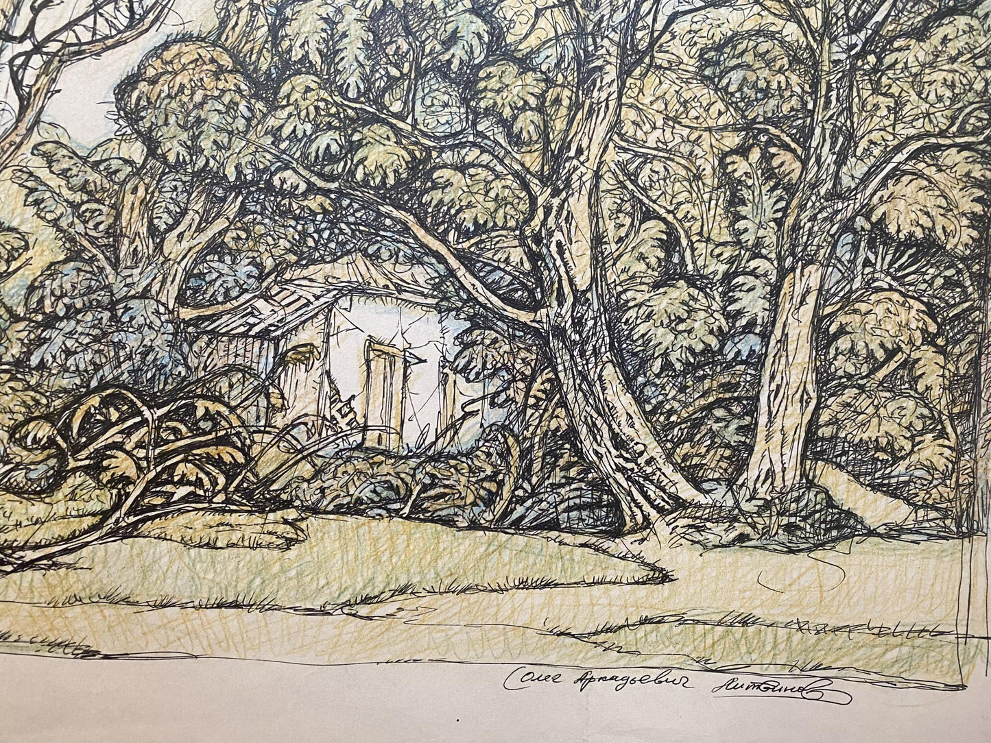 Pencil painting Landscape of a mysterious forest Oleg Litvinov