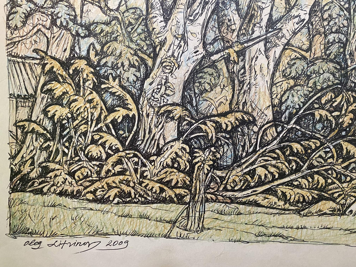 Pencil painting Landscape of a mysterious forest Oleg Litvinov