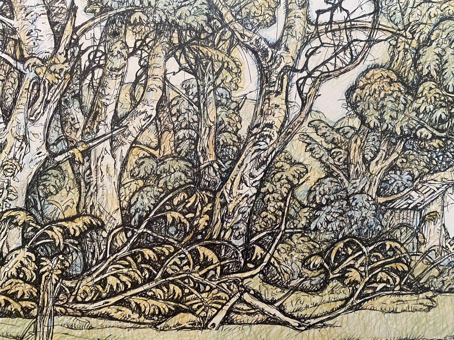 Pencil painting Landscape of a mysterious forest Oleg Litvinov