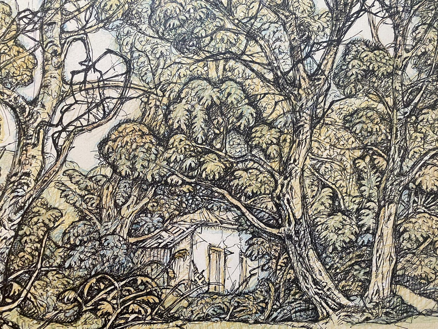 Pencil painting Landscape of a mysterious forest Oleg Litvinov