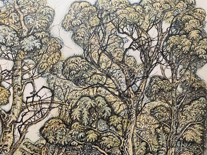 Pencil painting Landscape of a mysterious forest Oleg Litvinov