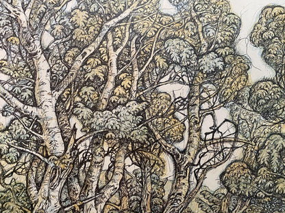 Pencil painting Landscape of a mysterious forest Oleg Litvinov