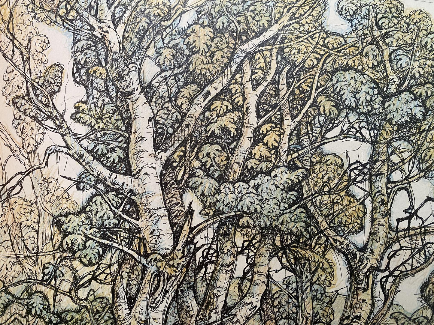 Pencil painting Landscape of a mysterious forest Oleg Litvinov