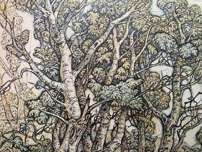 Pencil painting Landscape of a mysterious forest Oleg Litvinov