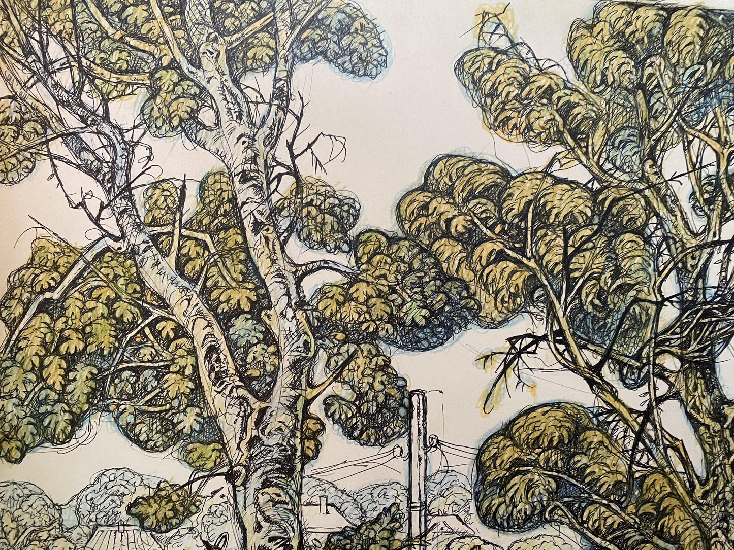 Pencil painting Landscape with village life Oleg Litvinov