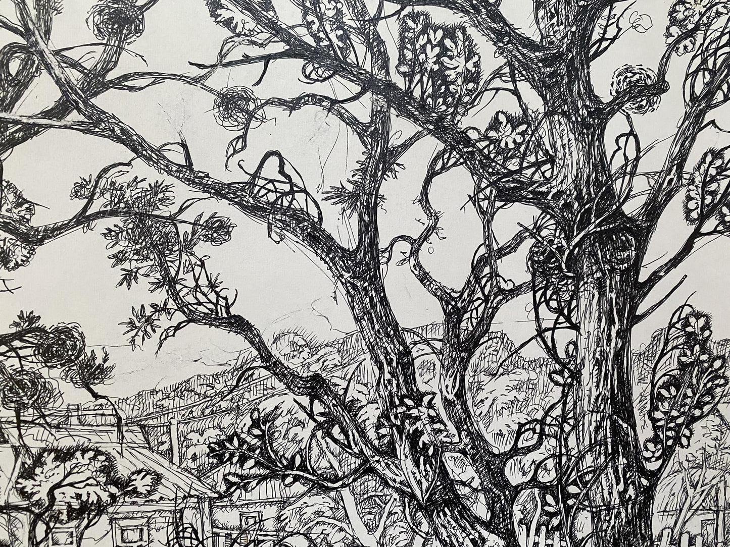 Ink painting Farmhouse in the village Oleg Litvinov