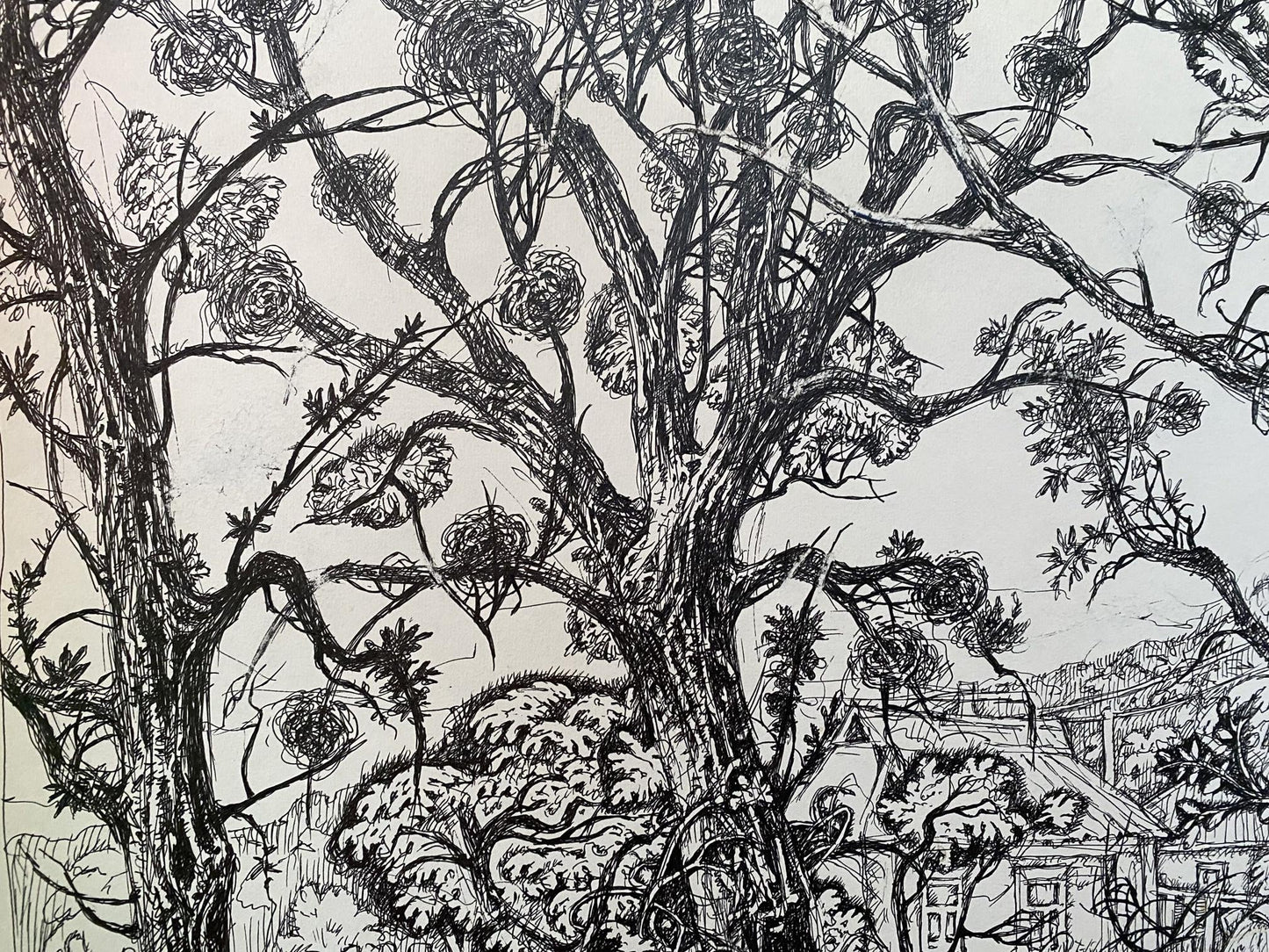 Ink painting Farmhouse in the village Oleg Litvinov