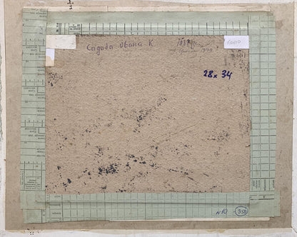 Oil painting Farmstead Ivan Kirillovych Tsyupka