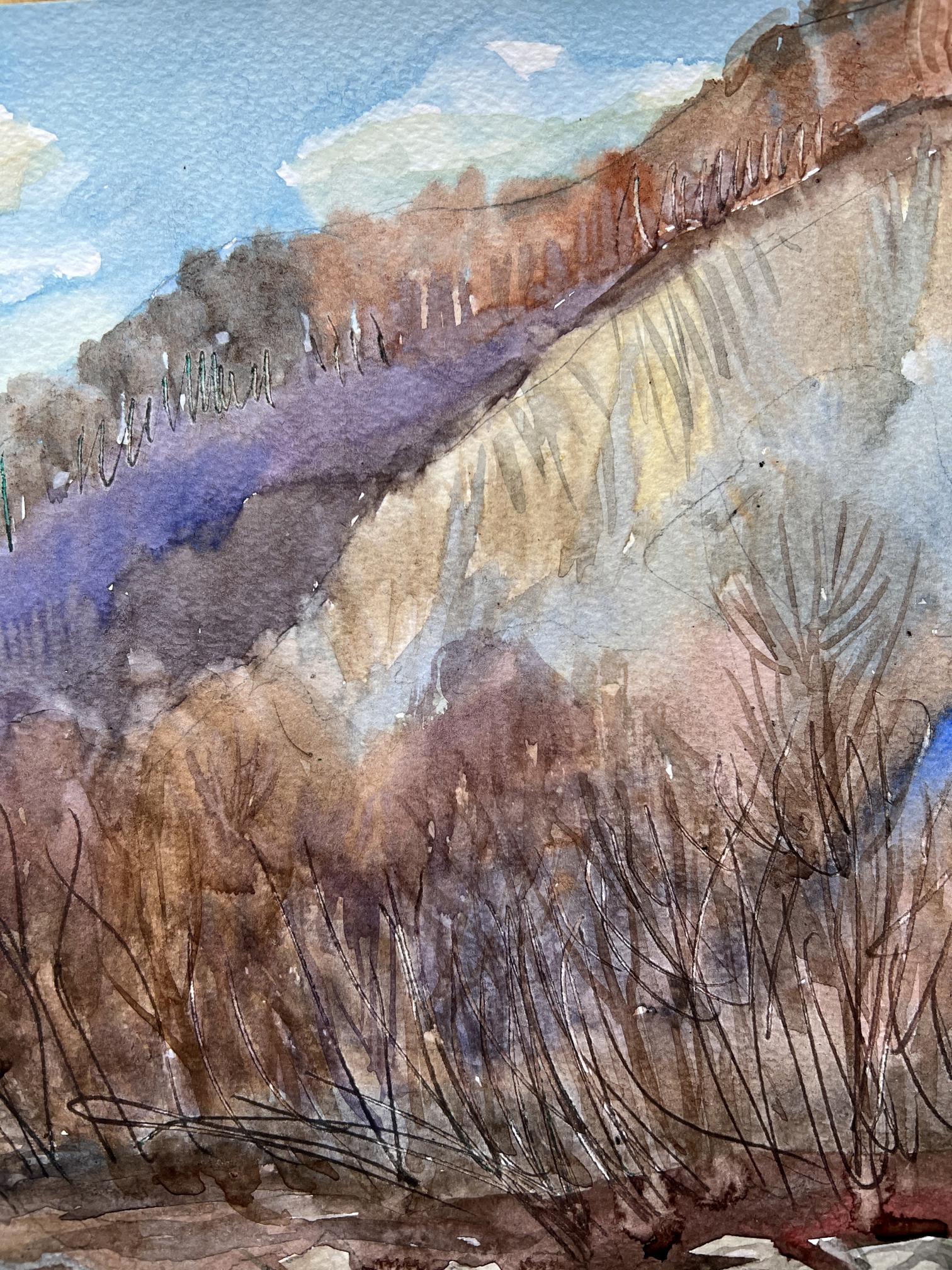 Mountain Village landscape 