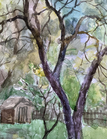 Rural landscape 