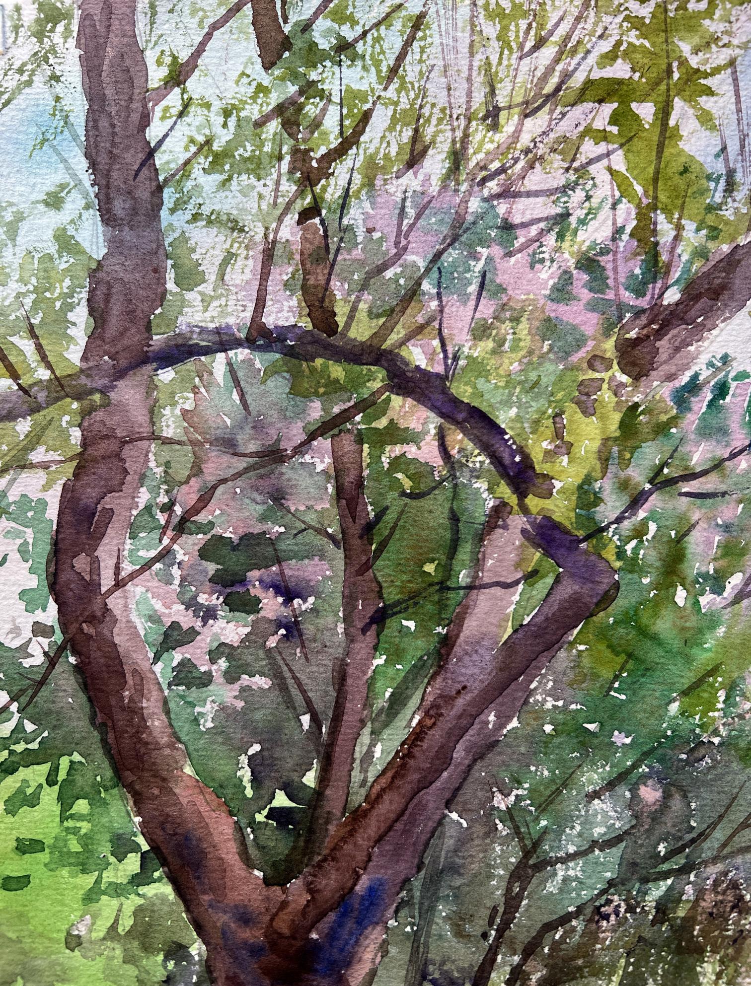 Watercolor painting Spring yard 