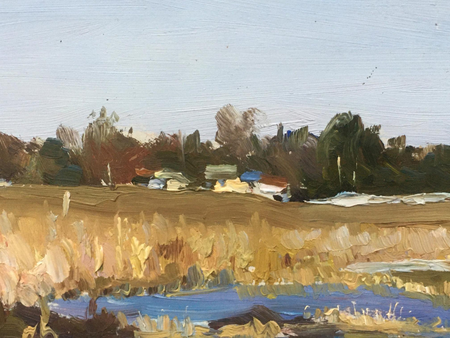 Oil painting Pond Field Ivanenko Vladimir Mikhailovich