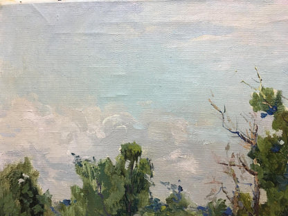 Oil painting Landscape Glushchenko Nikolay Petrovich