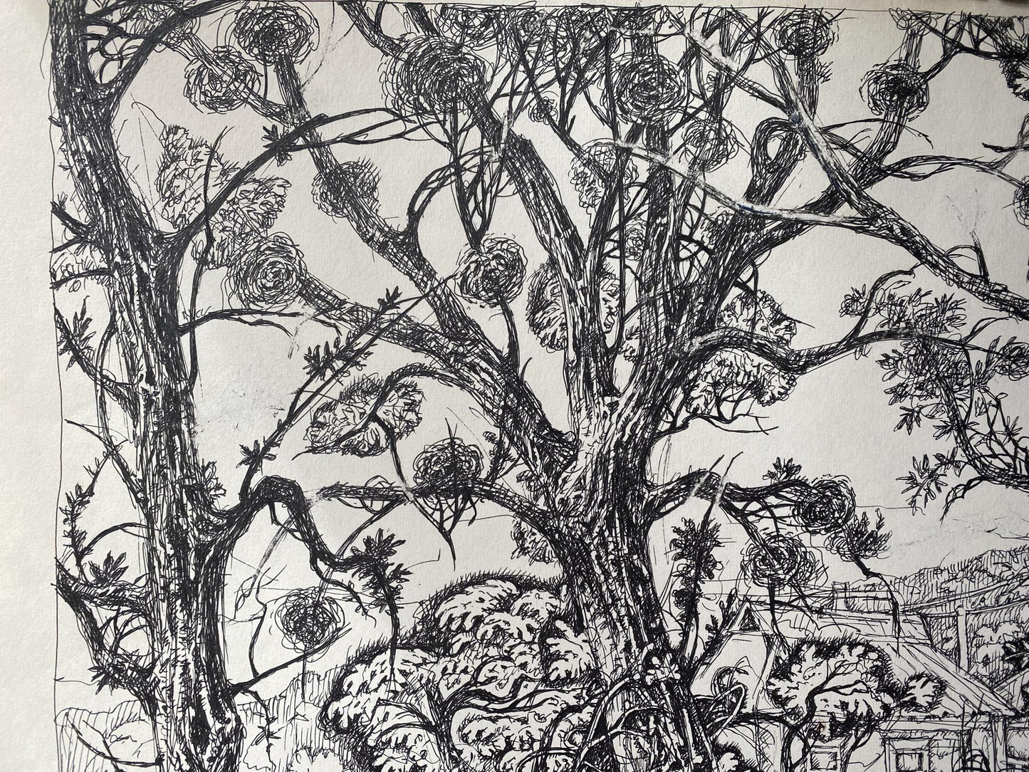 Ink depiction of a landscape by Oleg Arkad'yevich Litvinov