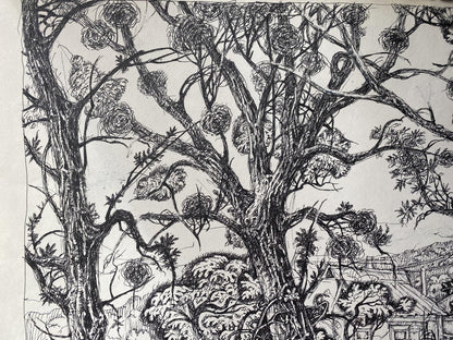 Ink depiction of a landscape by Oleg Arkad'yevich Litvinov