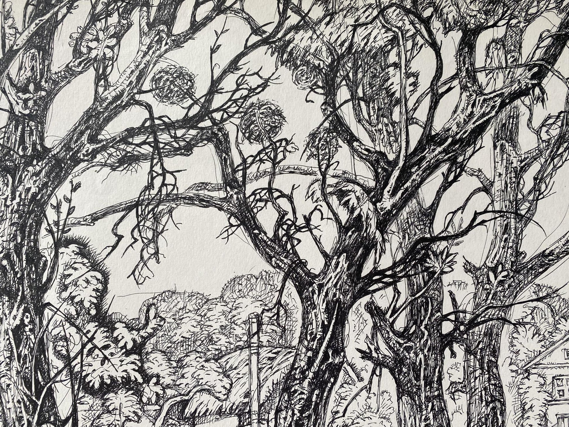 Mastery of Monochrome: Oleg Arkad'yevich Litvinov's 'End of August' in Ink and Pencil