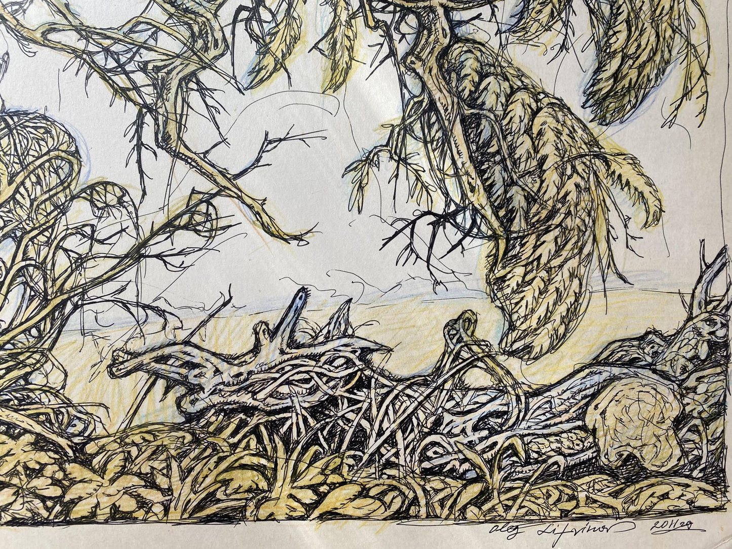 Ink, pencil painting Old elm Litvinov Oleg Arkad'yevich