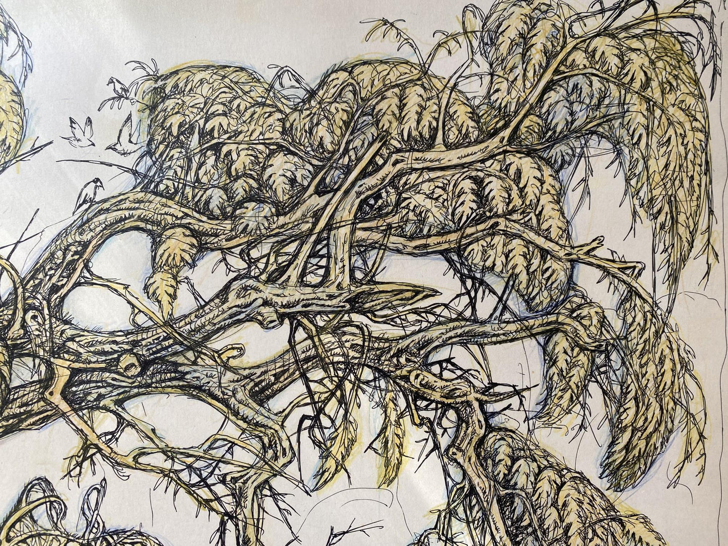 Ink, pencil painting Old elm Litvinov Oleg Arkad'yevich