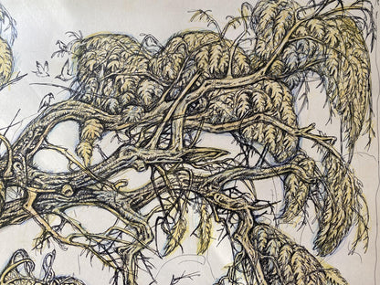 Ink, pencil painting Old elm Litvinov Oleg Arkad'yevich