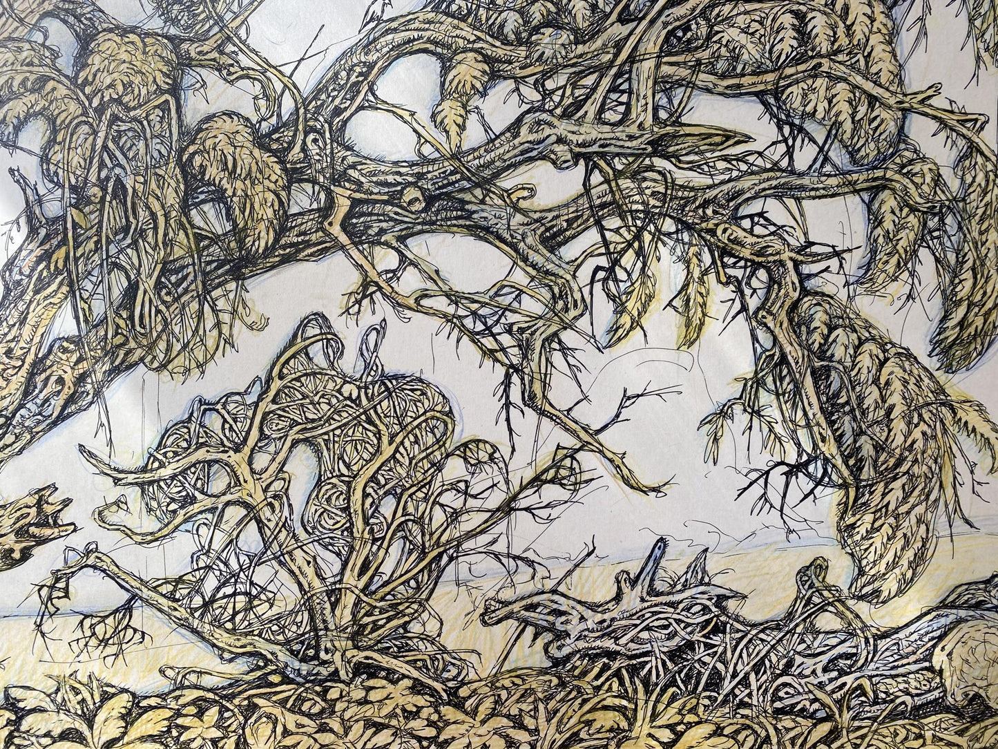 Ink, pencil painting Old elm Litvinov Oleg Arkad'yevich