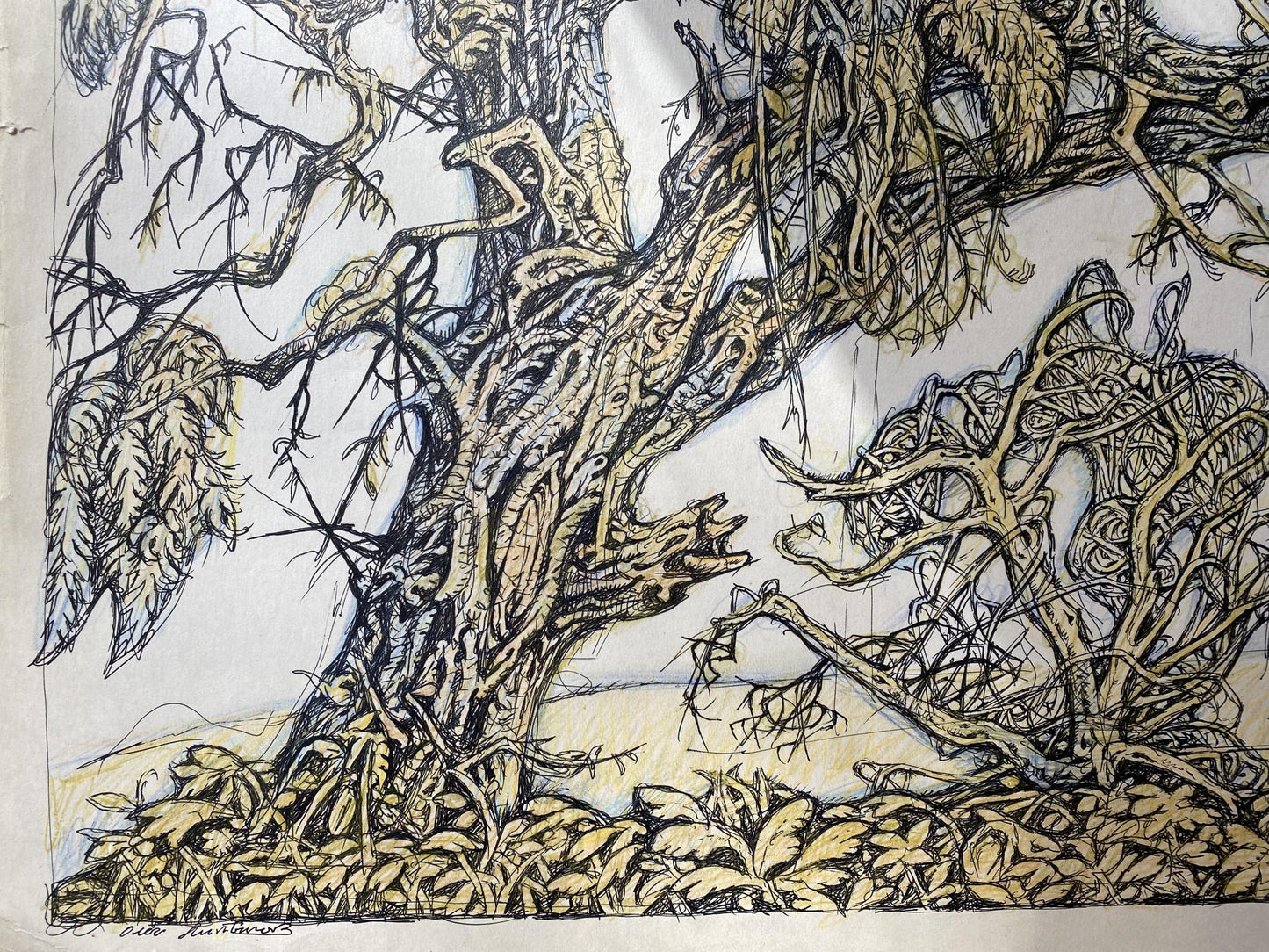 Ink, pencil painting Old elm Litvinov Oleg Arkad'yevich