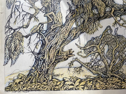 Ink, pencil painting Old elm Litvinov Oleg Arkad'yevich
