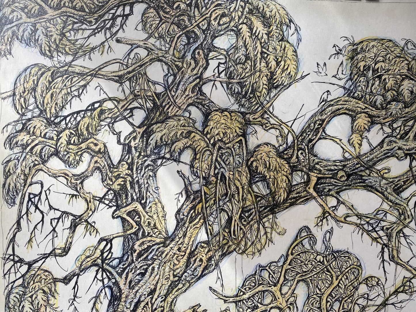 Ink, pencil painting Old elm Litvinov Oleg Arkad'yevich