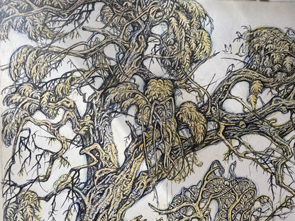 Ink, pencil painting Old elm Litvinov Oleg Arkad'yevich