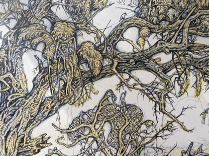 Ink, pencil painting Old elm Litvinov Oleg Arkad'yevich