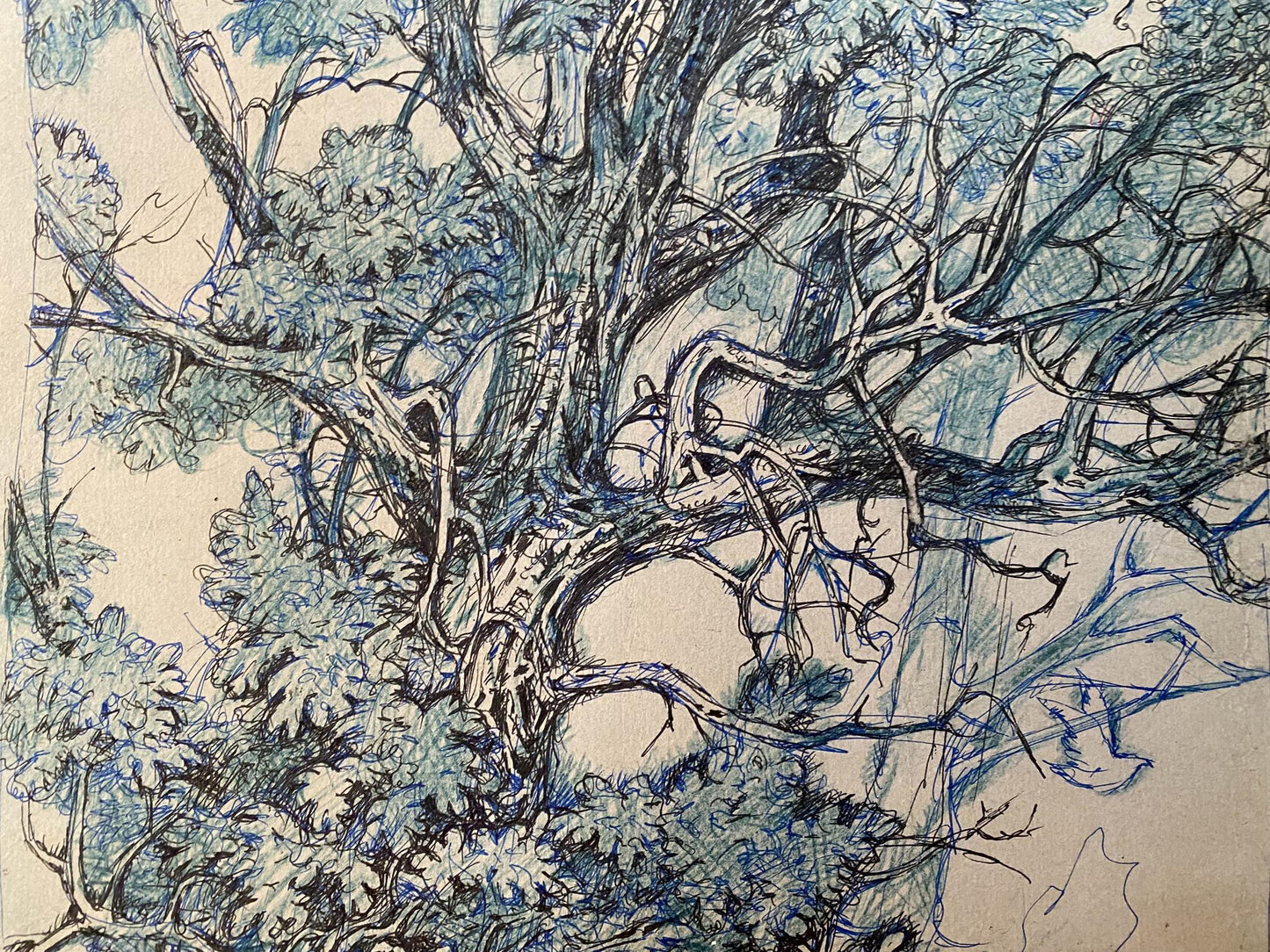 Ink, pencil painting Doggies Litvinov Oleg Arkad'yevich