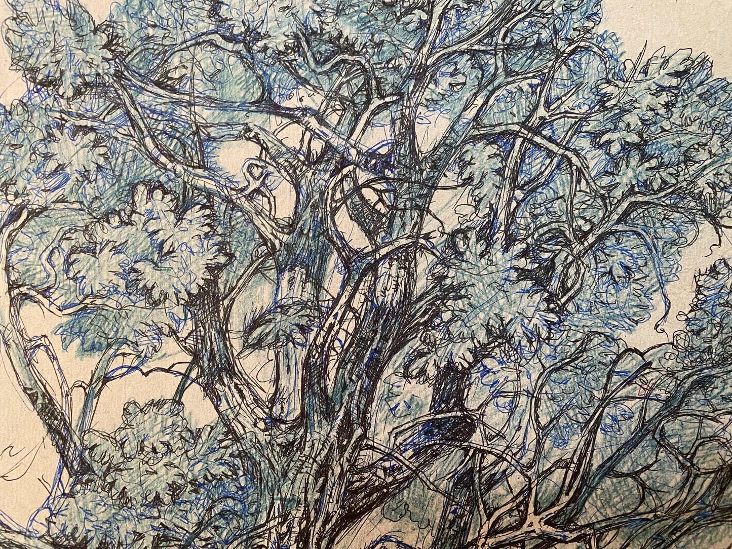 Ink, pencil painting Doggies Litvinov Oleg Arkad'yevich