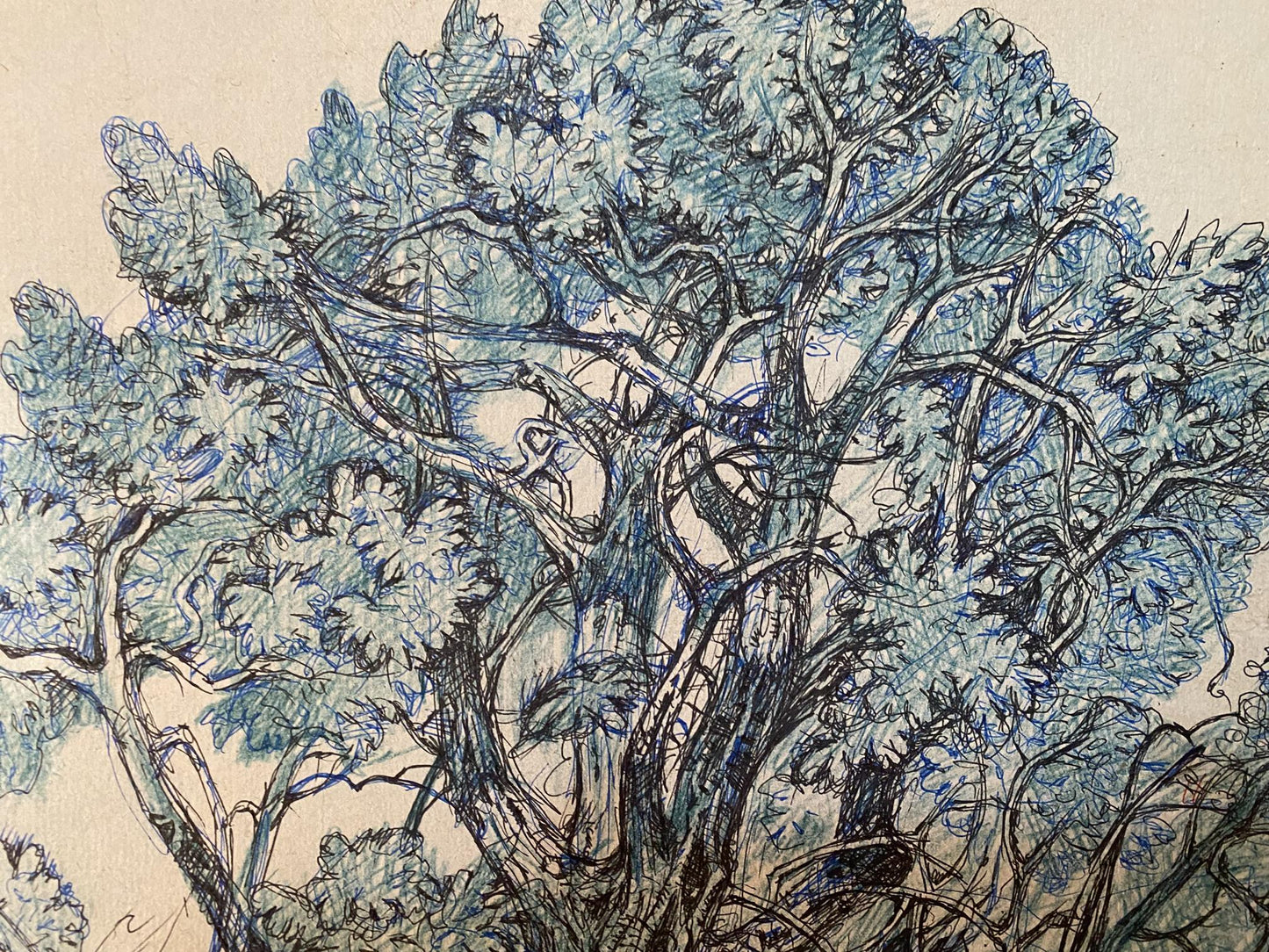 Ink, pencil painting Doggies Litvinov Oleg Arkad'yevich