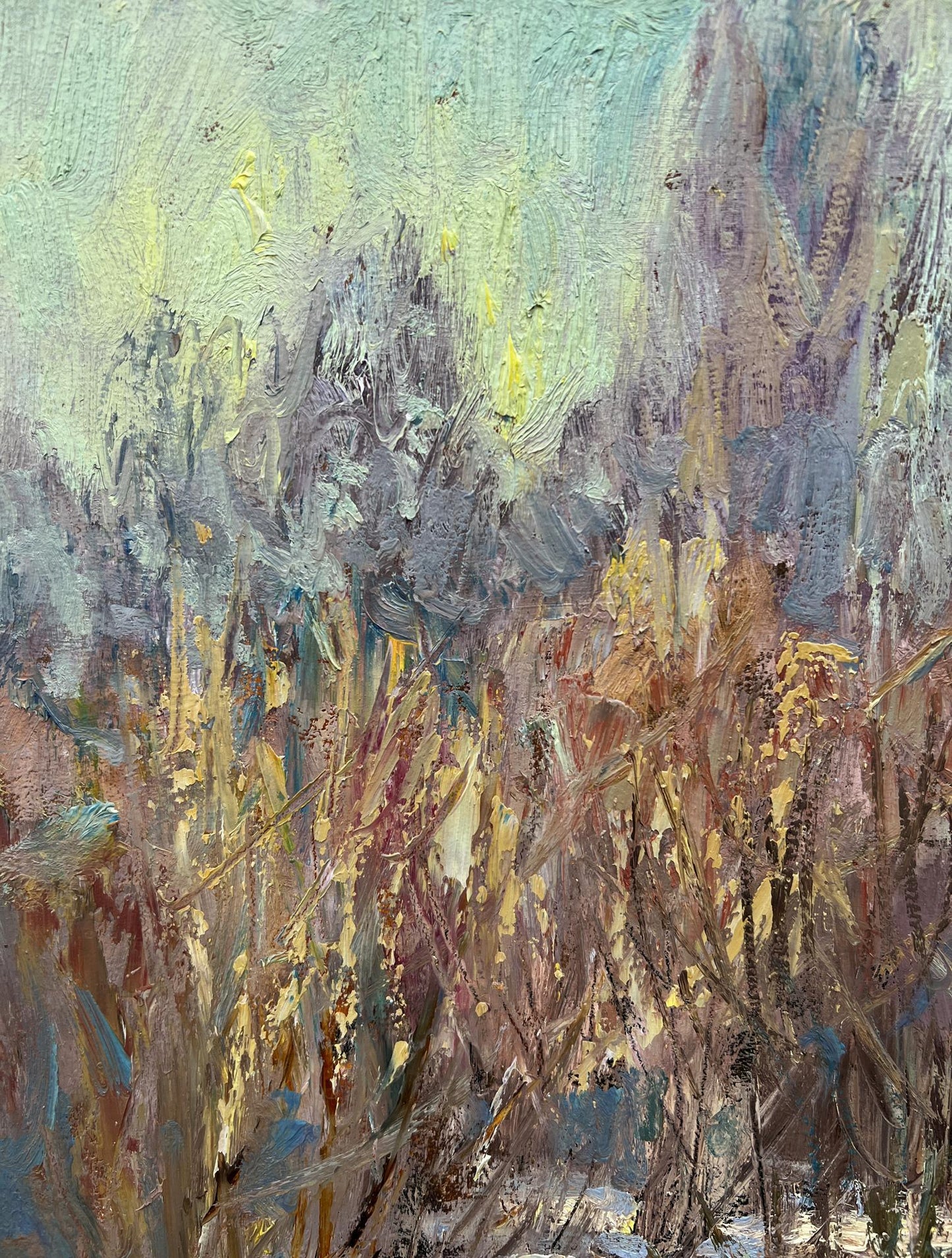 Oil painting Winter sun V. Mishurovsky