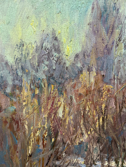 Oil painting Winter sun V. Mishurovsky