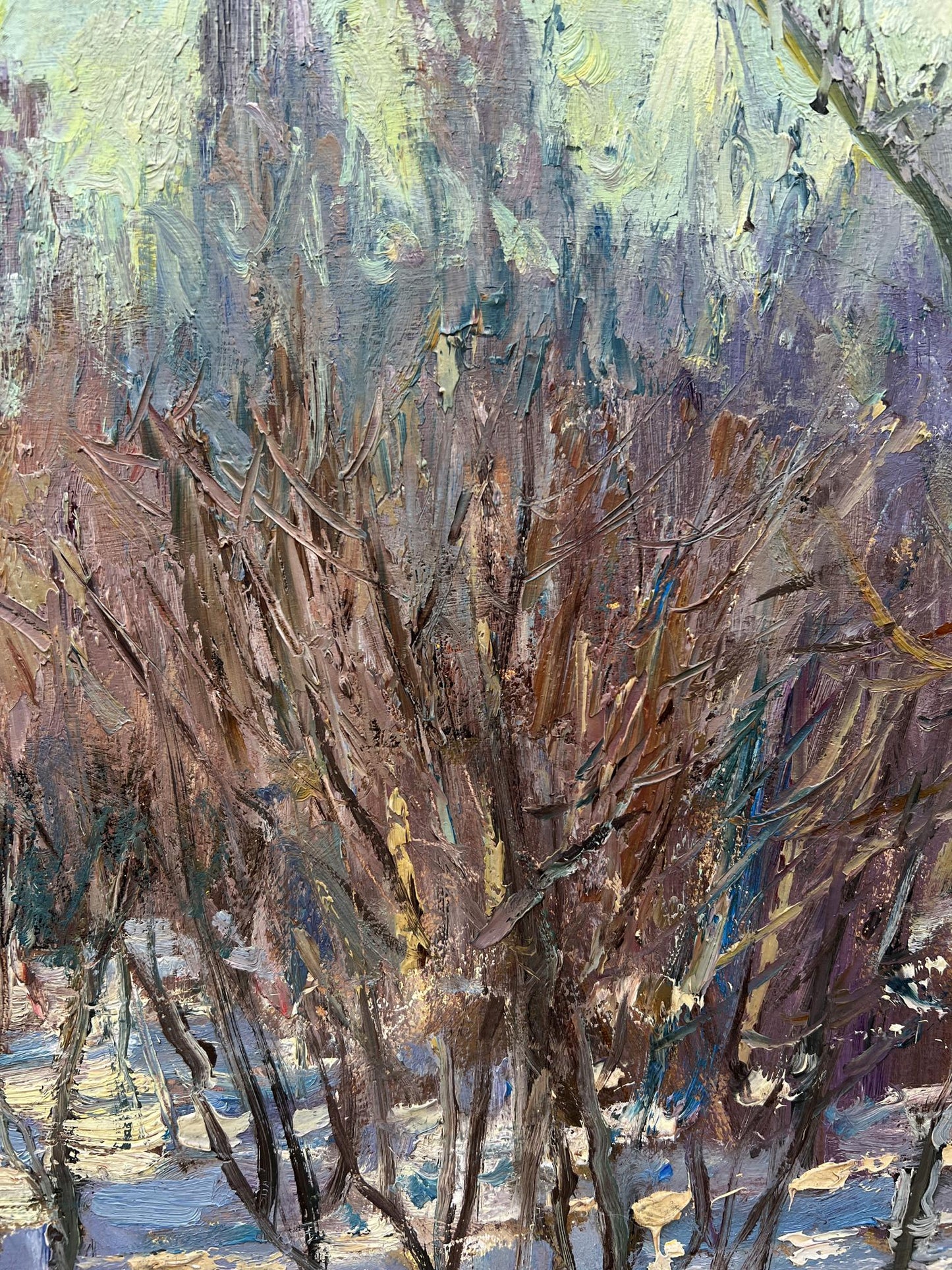 Forest Nature Landscape 