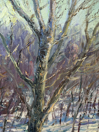 Winter Forest 