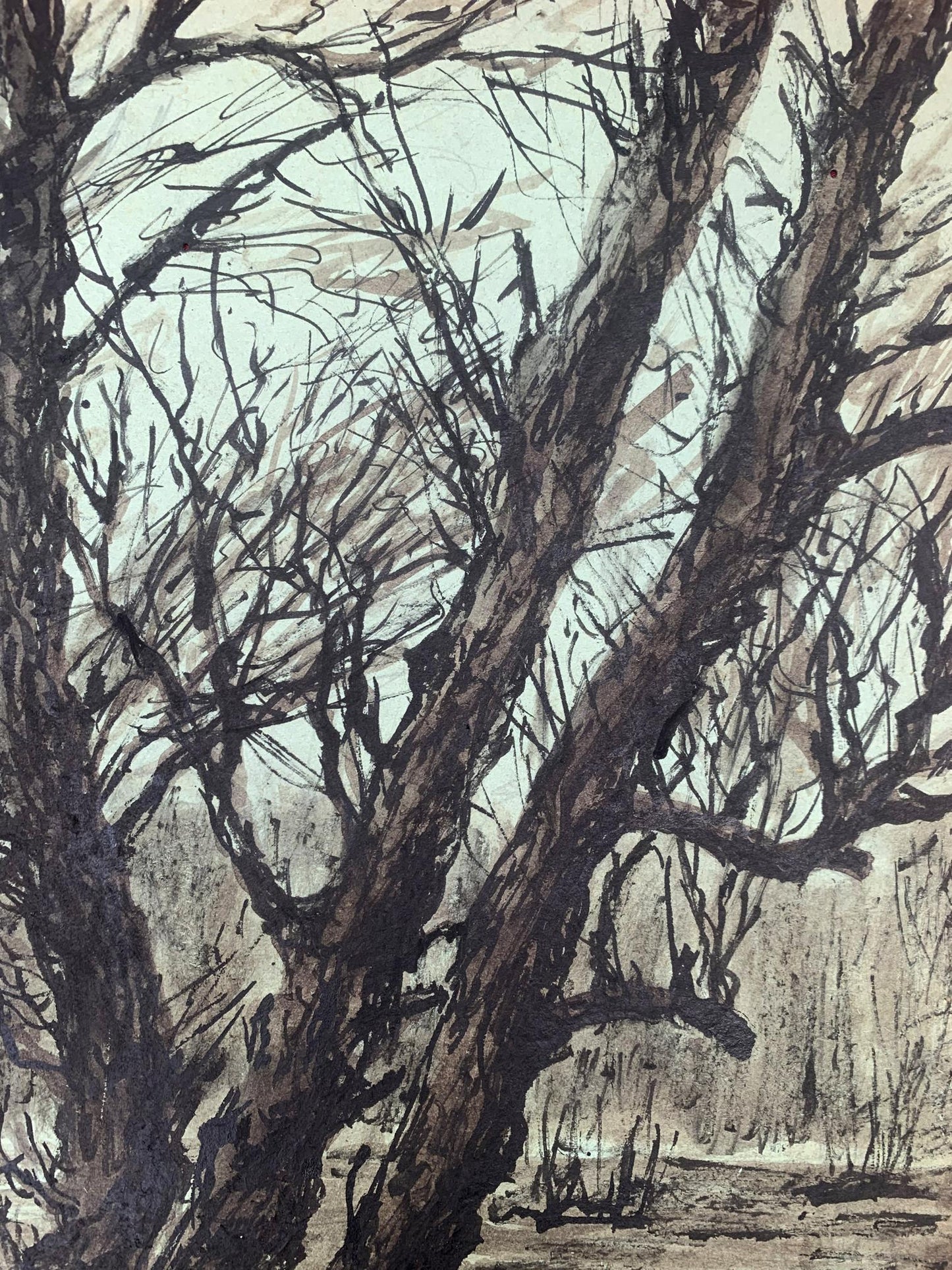 Ink painting Dense forest A. G. Cherkas