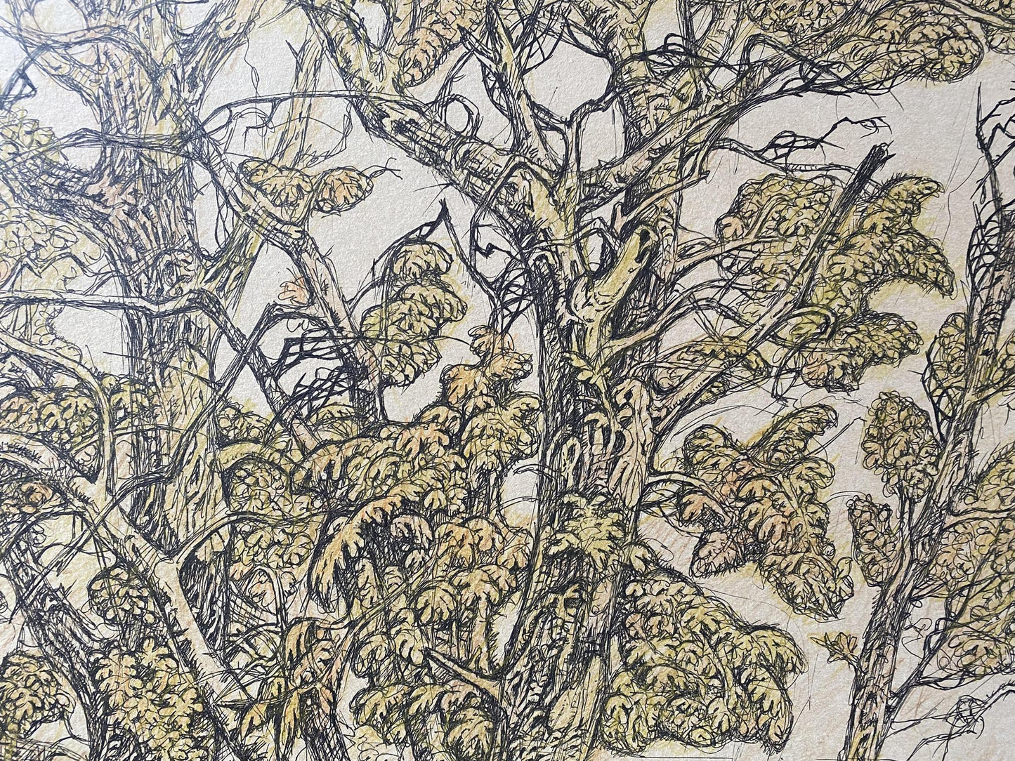 Pencil ,Ink, painting September Litvinov Oleg Arkad'yevich
